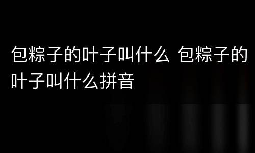 包粽子的叶子叫什么 包粽子的叶子叫什么拼音