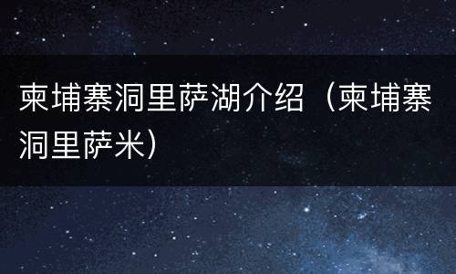 柬埔寨洞里萨湖介绍（柬埔寨洞里萨米）