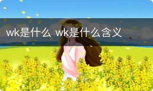 wk是什么 wk是什么含义
