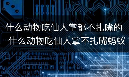 什么动物吃仙人掌都不扎嘴的 什么动物吃仙人掌不扎嘴蚂蚁庄园