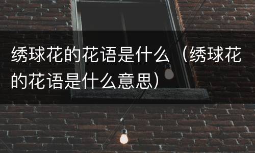 绣球花的花语是什么（绣球花的花语是什么意思）