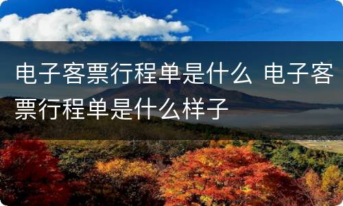 电子客票行程单是什么 电子客票行程单是什么样子
