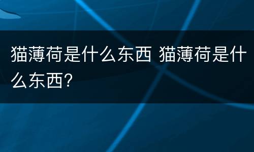 猫薄荷是什么东西 猫薄荷是什么东西?