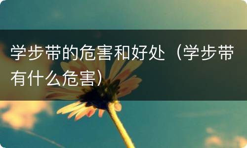 学步带的危害和好处（学步带有什么危害）