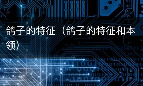 鸽子的特征（鸽子的特征和本领）