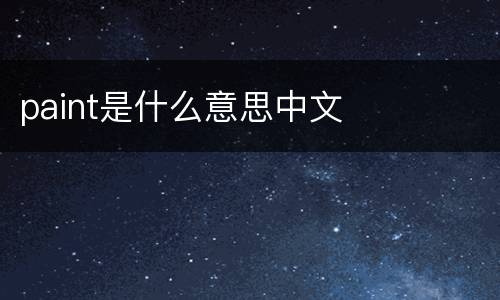 paint是什么意思中文