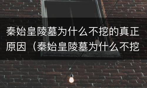 秦始皇陵墓为什么不挖的真正原因（秦始皇陵墓为什么不挖的真正原因水银）