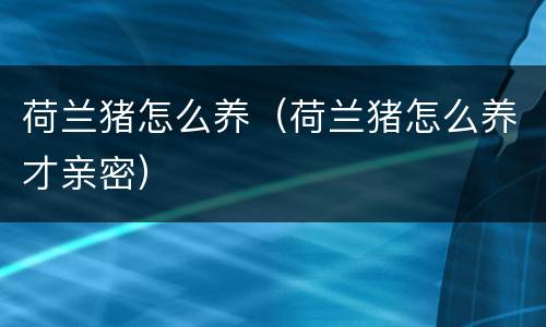 荷兰猪怎么养（荷兰猪怎么养才亲密）