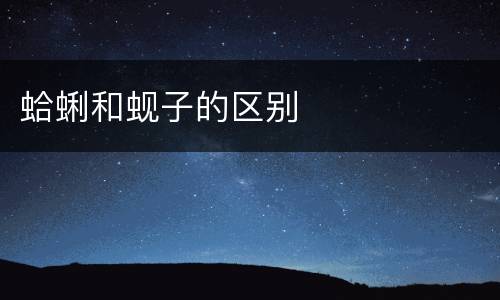 蛤蜊和蚬子的区别