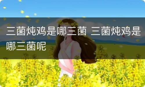 三菌炖鸡是哪三菌 三菌炖鸡是哪三菌呢