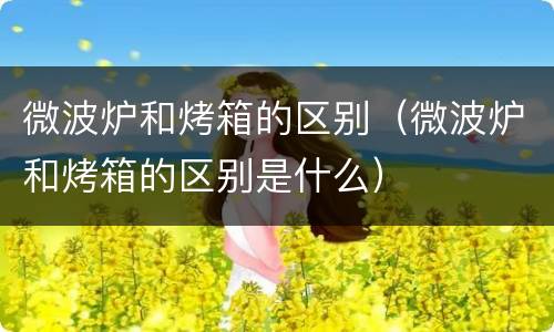 微波炉和烤箱的区别（微波炉和烤箱的区别是什么）
