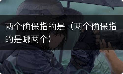 两个确保指的是（两个确保指的是哪两个）