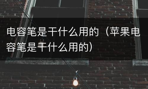电容笔是干什么用的（苹果电容笔是干什么用的）