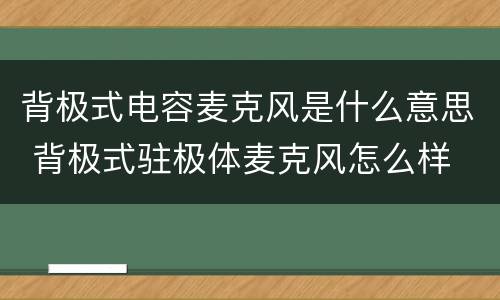 背极式电容麦克风是什么意思 背极式驻极体麦克风怎么样