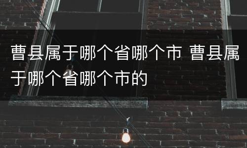 曹县属于哪个省哪个市 曹县属于哪个省哪个市的