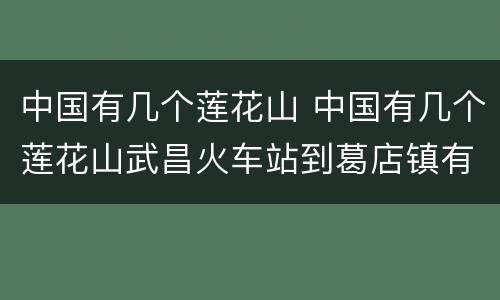 中国有几个莲花山 中国有几个莲花山武昌火车站到葛店镇有夜班车吗