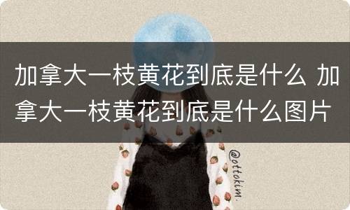 加拿大一枝黄花到底是什么 加拿大一枝黄花到底是什么图片