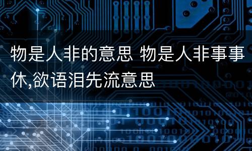 物是人非的意思 物是人非事事休,欲语泪先流意思