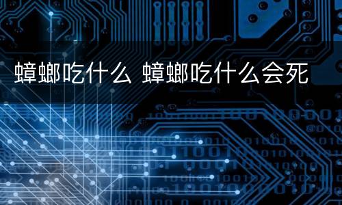 蟑螂吃什么 蟑螂吃什么会死