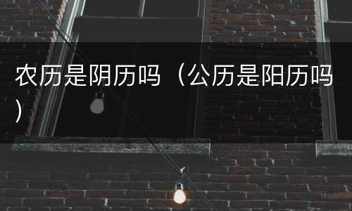 农历是阴历吗（公历是阳历吗）