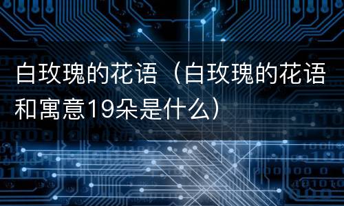 白玫瑰的花语（白玫瑰的花语和寓意19朵是什么）