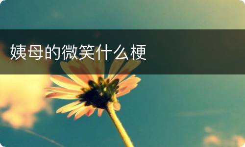 姨母的微笑什么梗