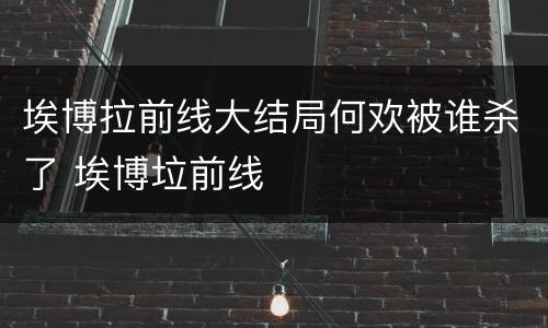 埃博拉前线大结局何欢被谁杀了 埃博垃前线