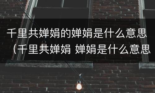 千里共婵娟的婵娟是什么意思（千里共婵娟 婵娟是什么意思）