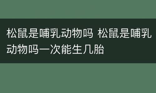 松鼠是哺乳动物吗 松鼠是哺乳动物吗一次能生几胎