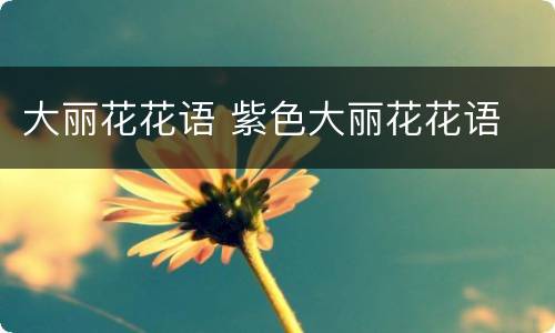 大丽花花语 紫色大丽花花语