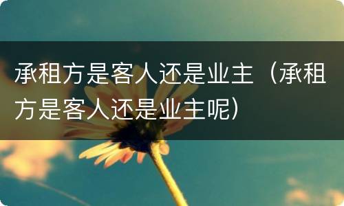 承租方是客人还是业主（承租方是客人还是业主呢）