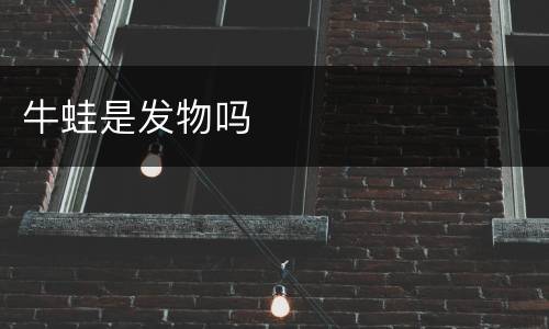 牛蛙是发物吗