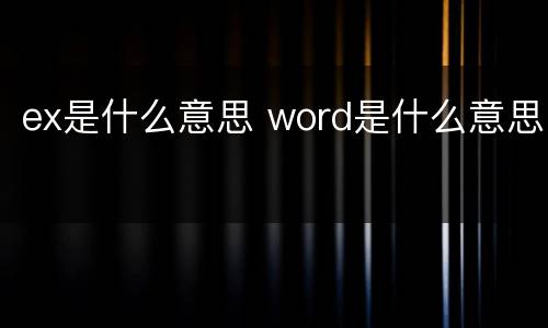 ex是什么意思 word是什么意思