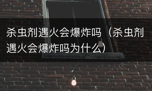 杀虫剂遇火会爆炸吗（杀虫剂遇火会爆炸吗为什么）