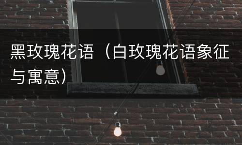 黑玫瑰花语（白玫瑰花语象征与寓意）