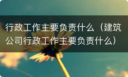 行政工作主要负责什么（建筑公司行政工作主要负责什么）