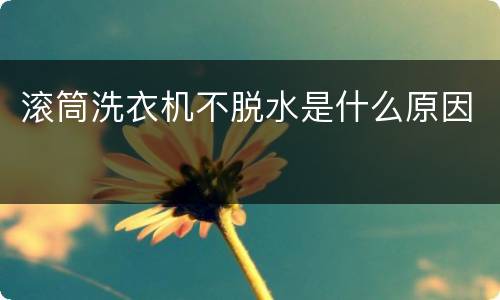 滚筒洗衣机不脱水是什么原因
