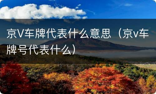 京V车牌代表什么意思（京v车牌号代表什么）