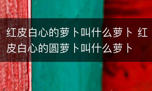 红皮白心的萝卜叫什么萝卜 红皮白心的圆萝卜叫什么萝卜