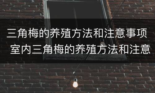 三角梅的养殖方法和注意事项 室内三角梅的养殖方法和注意事项