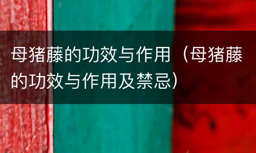 母猪藤的功效与作用（母猪藤的功效与作用及禁忌）