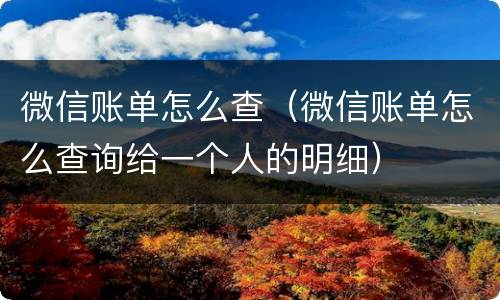 微信账单怎么查（微信账单怎么查询给一个人的明细）