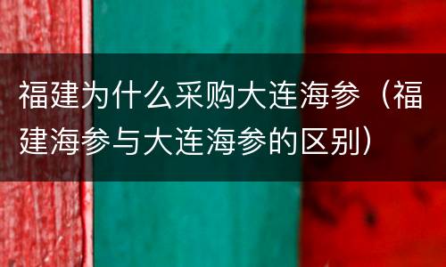 福建为什么采购大连海参（福建海参与大连海参的区别）