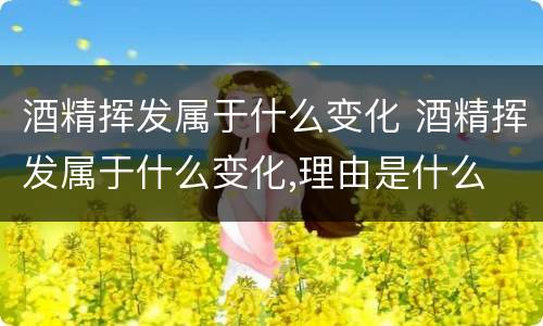 酒精挥发属于什么变化 酒精挥发属于什么变化,理由是什么