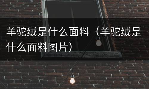 羊驼绒是什么面料（羊驼绒是什么面料图片）