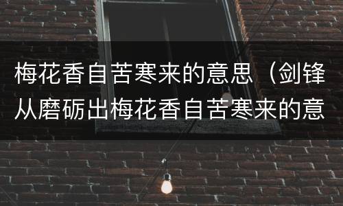 梅花香自苦寒来的意思（剑锋从磨砺出梅花香自苦寒来的意思）