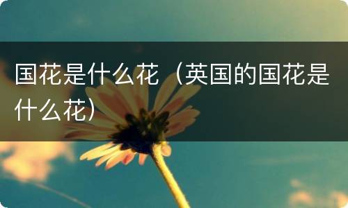 国花是什么花（英国的国花是什么花）