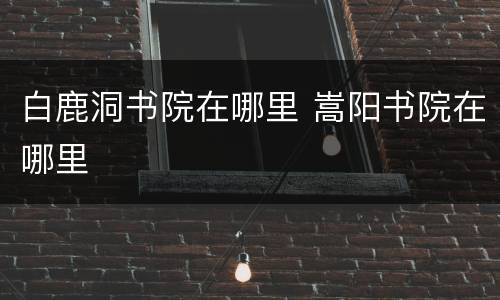 白鹿洞书院在哪里 嵩阳书院在哪里