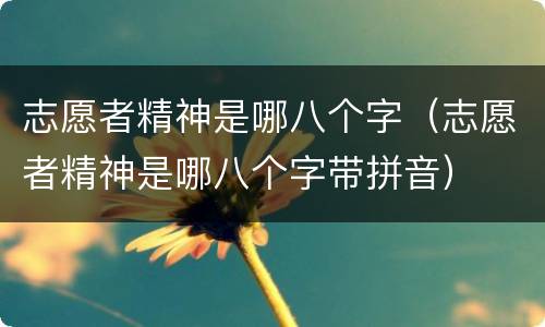 志愿者精神是哪八个字（志愿者精神是哪八个字带拼音）