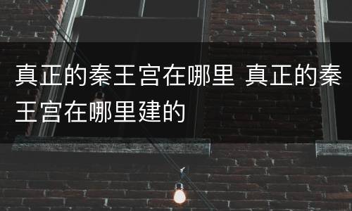 真正的秦王宫在哪里 真正的秦王宫在哪里建的
